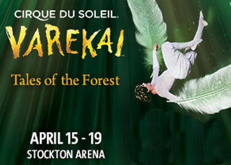 Cirque du Soleil - Varekai