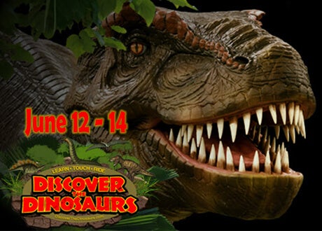 Discover the Dinosaurs