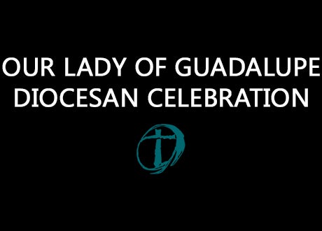 Our Lady of Guadalupe Diocesan Celebration
